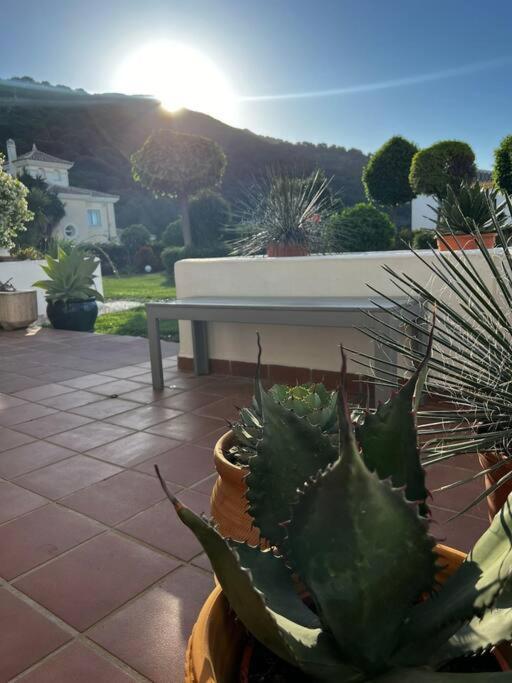 Ruim Appartement, Zonnig Terras, Alhaurin Golf! Alhaurín el Grande Exterior photo